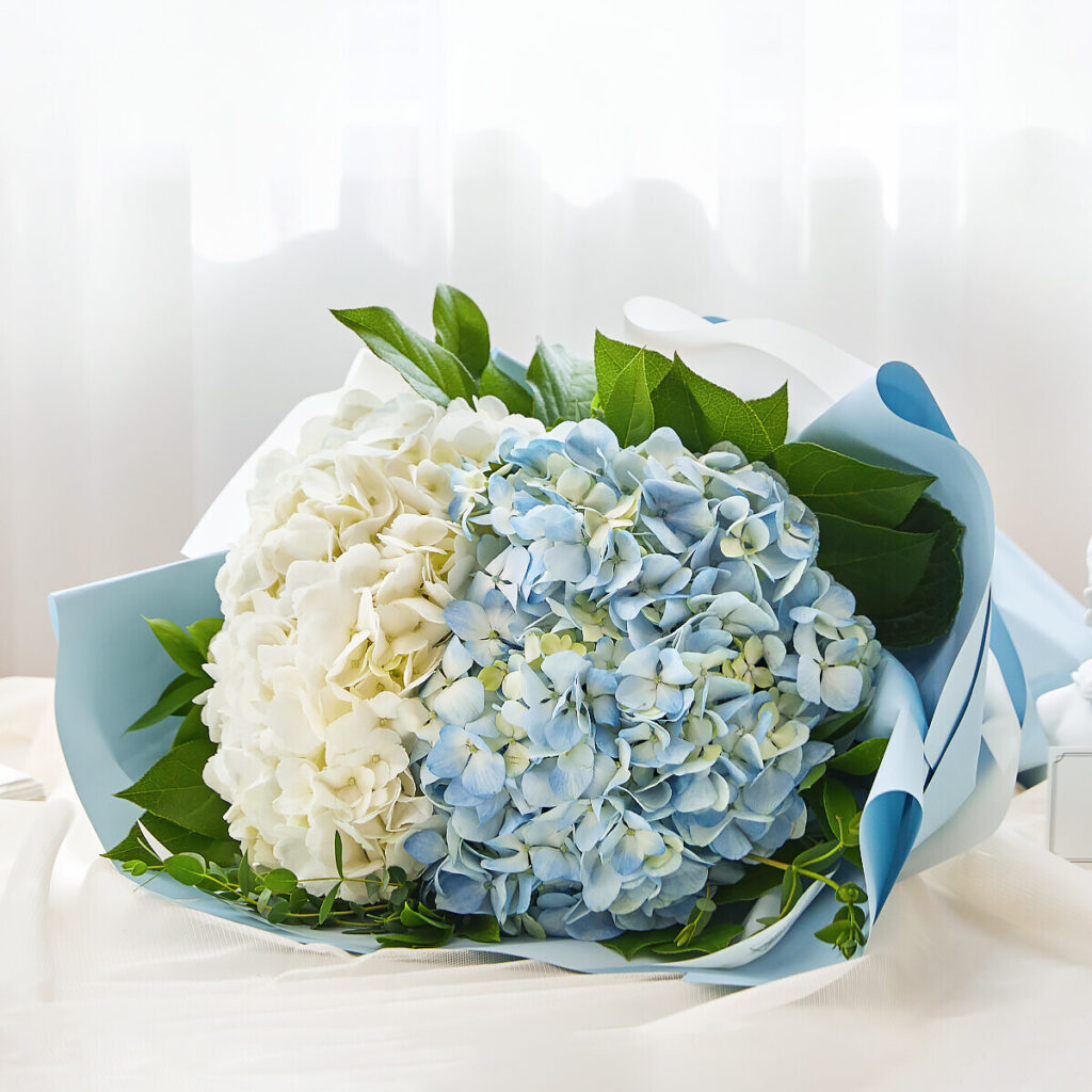 화이트 꽃바구니