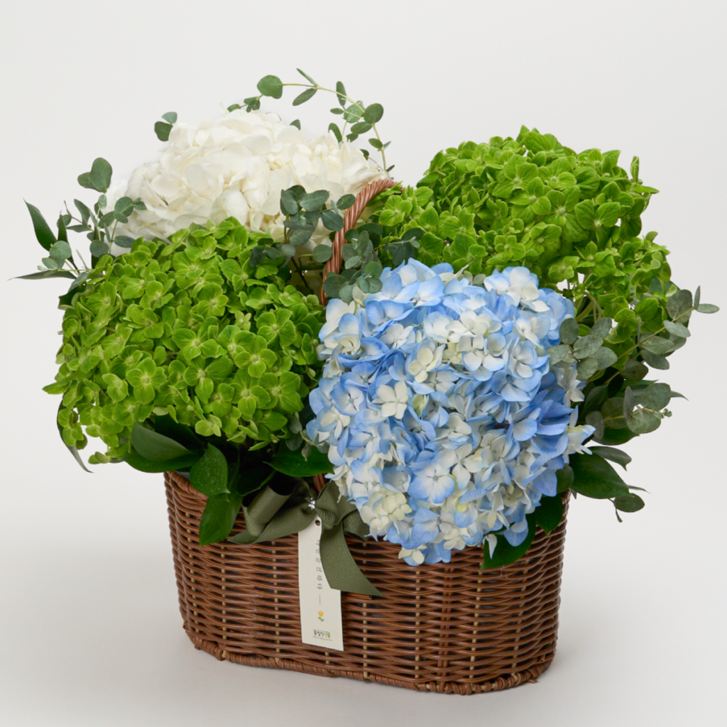 프리미엄 꽃바구니