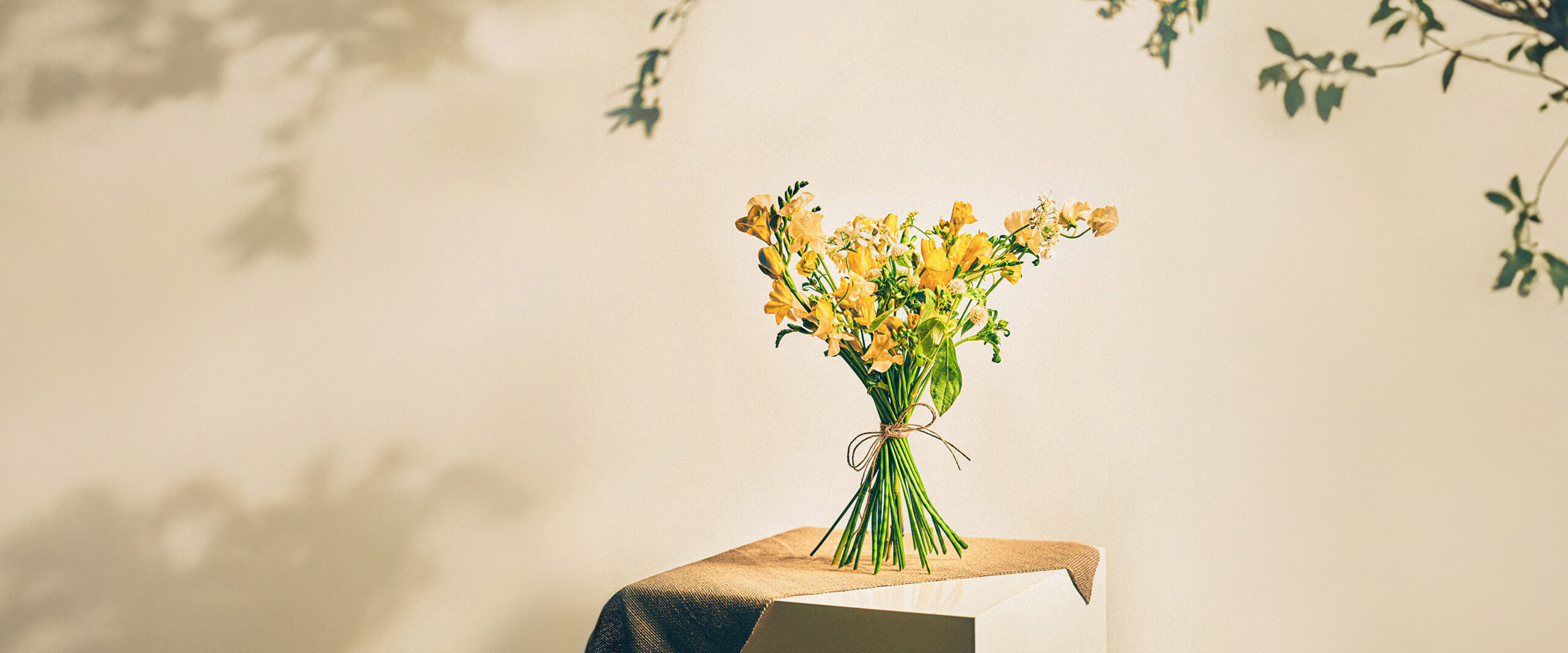 프리지아 꽃다발