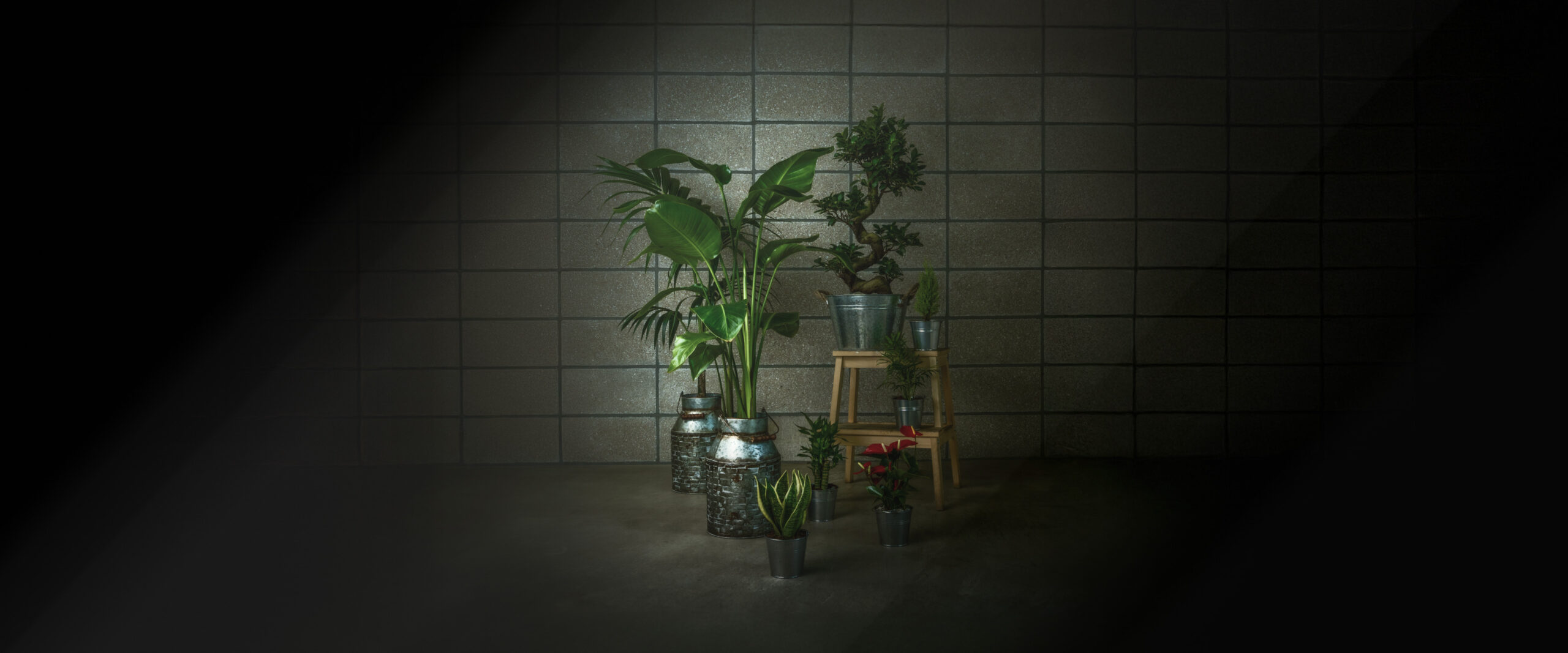 양동이라인 화분